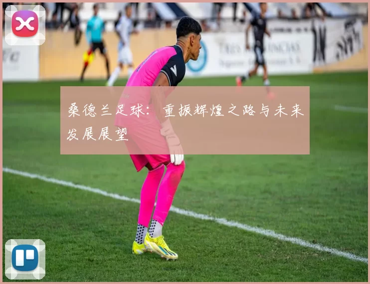 桑德兰足球：重振辉煌之路与未来发展展望