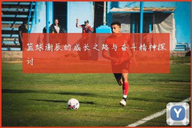 篮球谢辰的成长之路与奋斗精神探讨