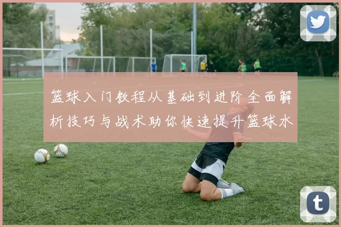 篮球入门教程从基础到进阶全面解析技巧与战术助你快速提升篮球水平