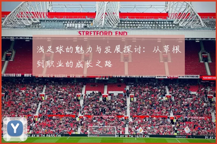 浅足球的魅力与发展探讨：从草根到职业的成长之路